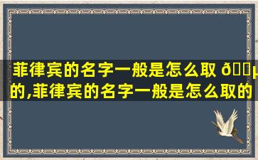 菲律宾的名字一般是怎么取 🌵 的,菲律宾的名字一般是怎么取的呀